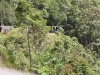 Şanghay’dan Avustralya’ya Uzun Bir Seyahat (Cairns)