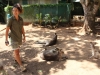 Şanghay’dan Avustralya’ya Uzun Bir Seyahat (Cairns)