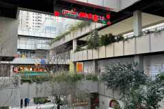 Sangay-Gezmece-Columbia-Circle-Cafe-Restoran-Kitap-2