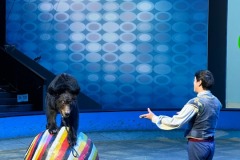 shanghai-happy-circus-3