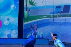 shanghai-happy-circus-7