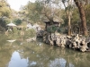 Şanghay'dan Huzhou'ya Kaplıca Tatili