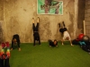 Şanghay'da Crossfit Salonu (Iron Dragon Crossfit)