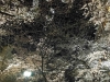 IMG_20170404_210842