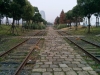 Şanghay'da İdeal Koşu Parkuru (Xuhui Riverside Park)