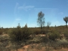 Şanghay’dan Avustralya’ya Uzun Bir Seyahat (Uluru - Ayers Rock)