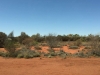 Şanghay’dan Avustralya’ya Uzun Bir Seyahat (Uluru - Ayers Rock)