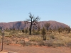 Şanghay’dan Avustralya’ya Uzun Bir Seyahat (Uluru - Ayers Rock)