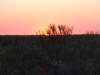 Şanghay’dan Avustralya’ya Uzun Bir Seyahat (Uluru - Ayers Rock)
