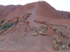 Şanghay’dan Avustralya’ya Uzun Bir Seyahat (Uluru - Ayers Rock)