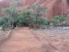 Şanghay’dan Avustralya’ya Uzun Bir Seyahat (Uluru - Ayers Rock)