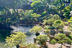 yuyuan3